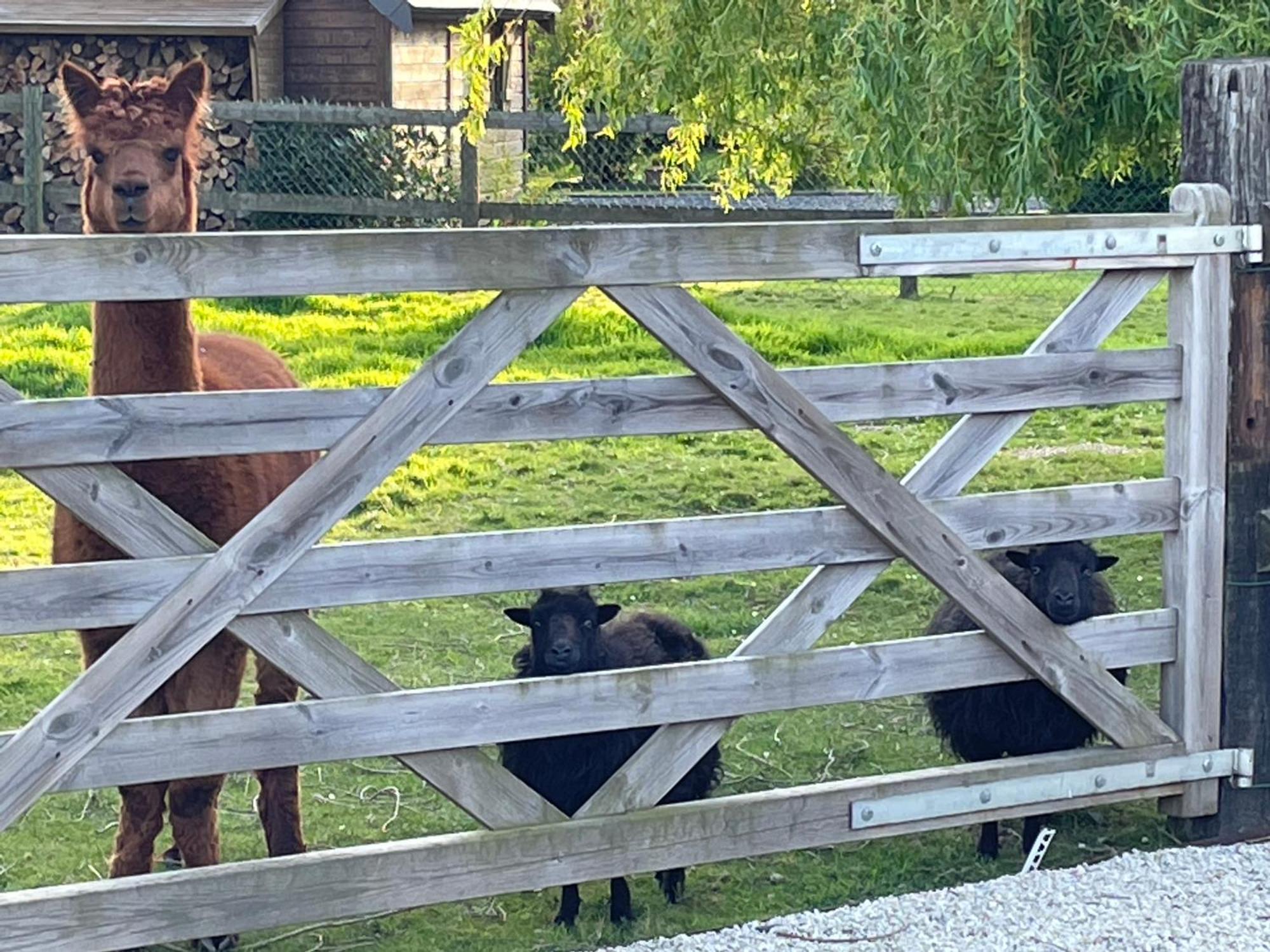 Aux Murmures De La Nature B&B Honfleur Eksteriør bilde